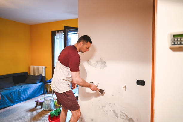 Trusted Van Meter, IA Mold Removal Experts